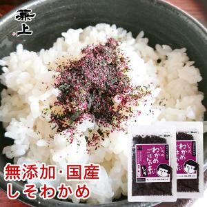 カネジョウ いその しそわかめごはんの素 30g×2袋 無添加 国産 ポスト投函