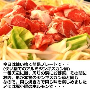 北海道 ジンギスカン 鍋 本場直送 使い捨て ...の詳細画像5