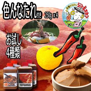 北海道 ジンギスカン 羊肉  ラム肉 ラムロール 4種の味 セット 味付けなし 250g×4 1kg フルーツ 辛口 ゆず 味噌 冷凍  食材  焼肉 お肉｜kanekantakeuchi