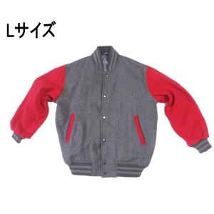 Champion チャンピオン ウィンドストッパー リバースウィーブ