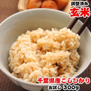 お米 お試し ポイント消化 送料無料 千葉県産 コシヒカリ ...