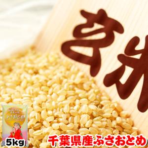 新米 玄米 5kg 令和5年産 千葉県産 ふさおとめ 再調整済み お米 5キロ 内のし対応 贈り物