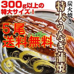 うなぎ 鰻 ウナギ 特大 蒲焼き 1尾 中国産 約300g業務用 お