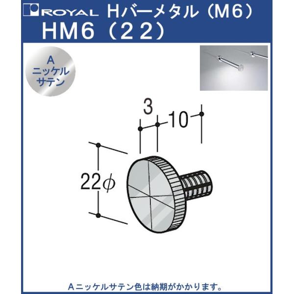 Hバーメタル (M6) ロイヤル HM6 (φ22) Aニッケルサテン サイズ：φφ22×3＋10m...