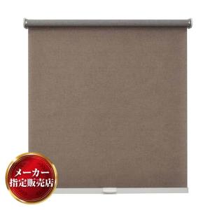 スチールラック用ロールスクリーン トーソー 75×180 Beige 枠色