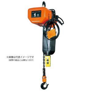 日立 50000-452 電動チェーンブロック 1SH 容量1.0t 揚程6m 2点 日立 50000-452 電動チェーンブロック 1SH 容量1.0t 揚程6m 2点
