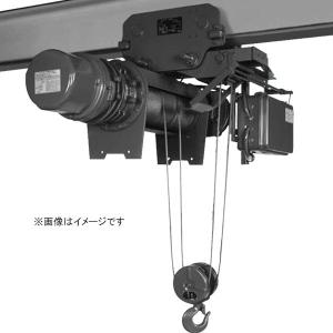 日立 50000-626 日立 ホイスト 2.8M-T65 Vシリーズ 高機能タイプ 日立 50000-626 日立 ホイスト 2.8M-T65 Vシリーズ 高機能タイプ