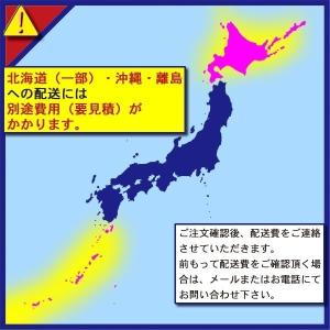 50000-653 (送料無料) ホイスト N...の詳細画像2