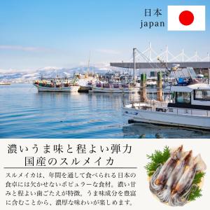 無添加 国産 天然 イカ 一夜干し 3枚セット...の詳細画像1
