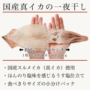 無添加 国産 天然 イカ 一夜干し 3枚セット...の詳細画像2