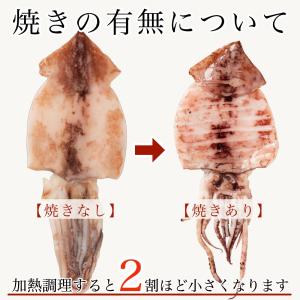 無添加 国産 天然 イカ 一夜干し 3枚セット...の詳細画像4
