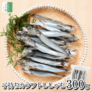 【送料別】無添加 子持ち ししゃも 一夜干し 300g(約25-30尾入り) カラフトシシャモ 化学調味料不使用 チャック袋入り 樺太シシャモ メス フライ【C配送：冷凍】｜かねなかや次兵衛