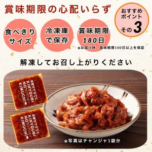 無添加 チャンジャ 100g×5袋 海鮮 キム...の詳細画像4