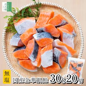 国産 無塩 銀鮭 切り身 30g×20切 金華銀鮭 骨取り 冷凍 鮭 さけ 養殖 保存料不使用 国内加工 宮城県ブランド チャック袋入 化学調味料不使用【C配送：冷凍】｜かねなかや次兵衛