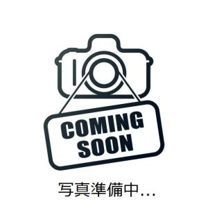 日本酒　高知県　美丈夫　CEL-24　Sparkling　720ml