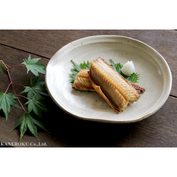 白渦片口8.0大皿　24.5×4(cm)日本製　美濃焼　業務用食器　おうち居酒屋　本格和食器　盛りや...