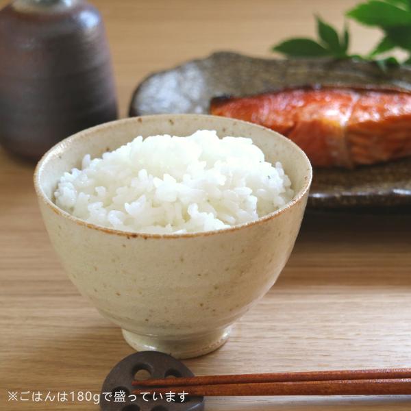 うすちゃうのふ茶碗　10.5×7.1(cm)日本製　美濃焼　業務用食器　おうち居酒屋　茶碗