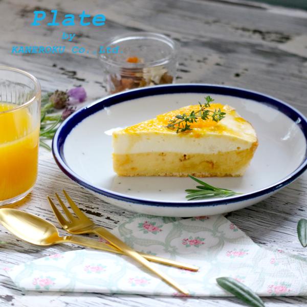 スカイプレート19　19.5×2.9(cm)　日本製　美濃焼　業務用食器　軽量食器　おうちカフェ　パ...