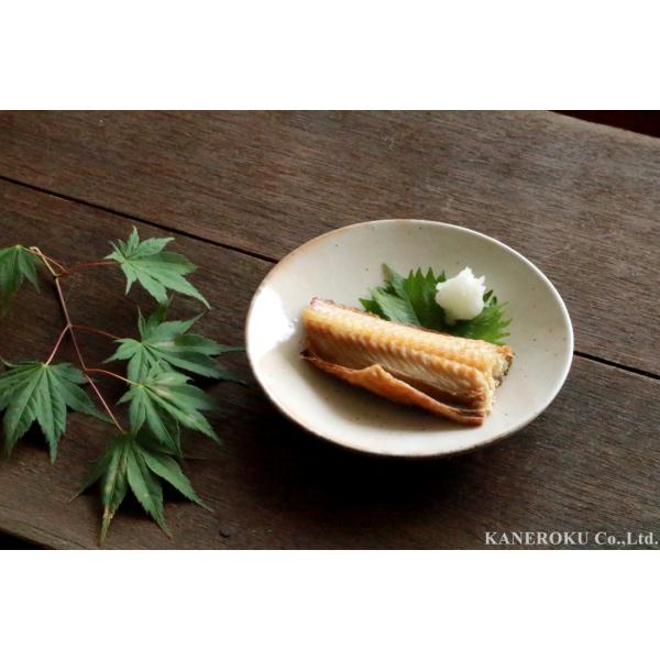 粉引丸5.5皿　17.3×3.3(cm)日本製　美濃焼　業務用食器　おうち料亭　盛りやすい食器　本格...