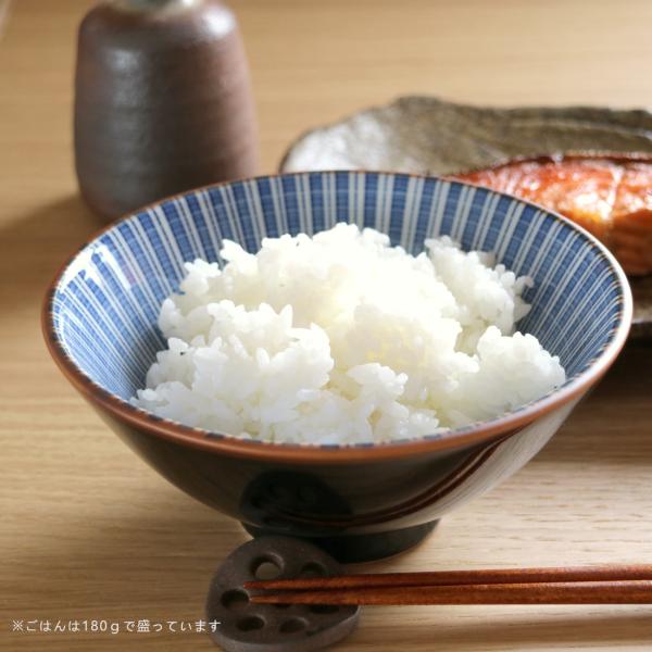 天目十草茶漬