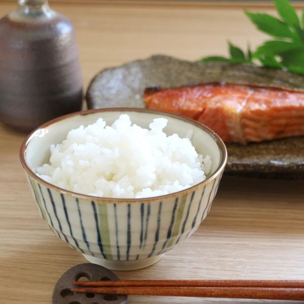 二色十草平飯碗　11.5×6.4(cm)日本製　美濃焼　業務用食器　おうち居酒屋　盛りやすい茶碗　茶...