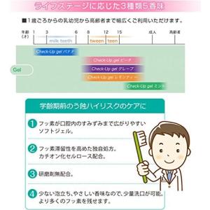 ライオン DENT チェックアップジェル バナ...の詳細画像5