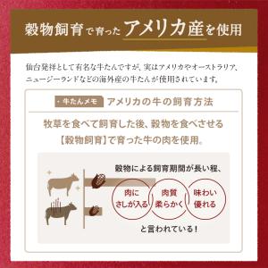 牛タン シチュー ビーフシチュー レトルトシチ...の詳細画像4