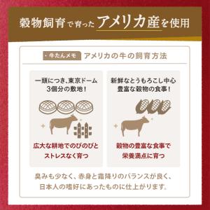 牛タン シチュー ビーフシチュー レトルトシチ...の詳細画像5