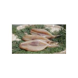 河豚 シロサバフグ 約180g ３匹 Viaprodesarrollo Edu Py Index Php