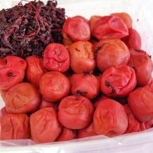 訳あり・粒不揃い 昔ながらの梅干し1.3kg（無添加 自家製梅・手もみしそ使用 深瀬善兵衛商店）