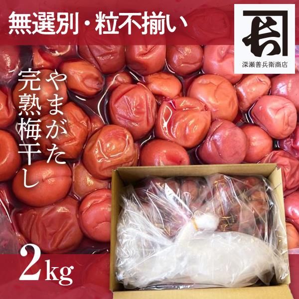 無選別・粒不揃い やまがた完熟梅干し 2kg