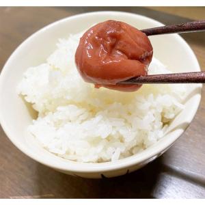 紀州南高梅 つぶれ梅 はちみつ梅 500g 2...の詳細画像1