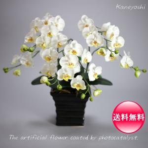 　お祝い　花　造花　ギフト　記念品　出産　誕生日　結婚式　発表会　新築　開店　祝　光触媒　胡蝶蘭　小輪