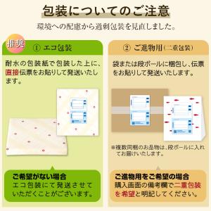 鐘崎 笹かまぼこ 送料無料 TF-5A 仙台 ...の詳細画像5