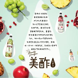 日本正規品 美酢 6本セット 11種類から選べ...の詳細画像2