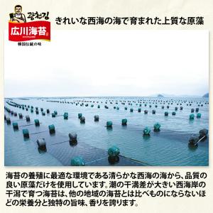 広川海苔 韓国味付けのり 100枚 55g /...の詳細画像2