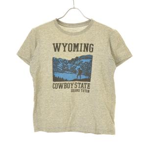 THE NORTH FACE / ノースフェイス NT31504 WYOMING 半袖Tシャツ