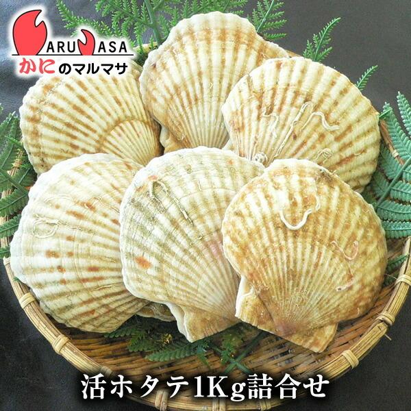活ホタテ貝1kg 詰め合わせセット 翌日便対応 海産物 北海道産 国産 道産品 厳選素材 プレゼント...