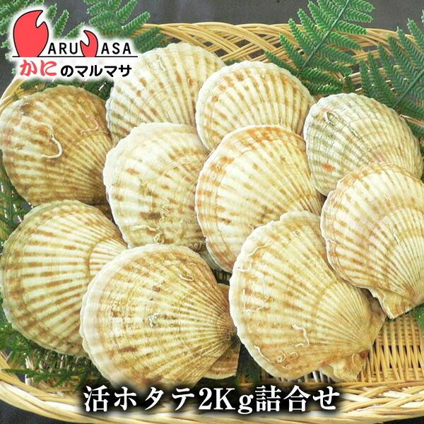 活ホタテ貝2kg 詰め合わせセット 翌日便対応 海産物 北海道産 国産 道産品 厳選素材 プレゼント...