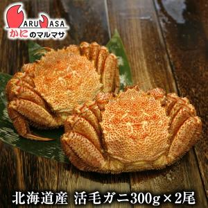 活毛がに 300g 2尾セット 翌日便対応 北海道産 かにのマルマサ 極上毛ガニ カニ かに 蟹 毛蟹 毛ガニ 通販 贈り物 道産品 お中元 ギフト