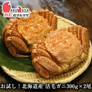 お試しセット 北海道産 ボイル毛ガニ300g×2尾(1ケース)