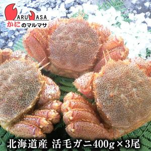 活毛がに 400g 3尾セット 北海道産 かにのマルマサ 極...