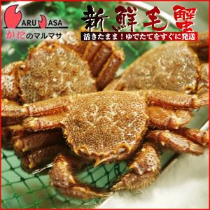 訳ありボイル毛がに 1kgセット 翌日便対応 ...の詳細画像1