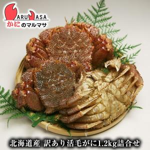 爆買 訳あり活毛がに 1.2kgセット 翌日便対応 北海道産 毛がに 毛蟹 毛ガニ かに カニ 蟹 カニ通販 道産品 厳選素材 プレゼント 贈り物 お取り寄せ ギフト