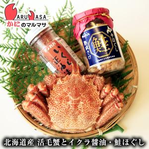 熟成鮭手ほぐし160g＆北海道産 毛がに350g＆いくら醤油漬け90g 1本海鮮セット 毛蟹 毛ガニ カニ通販 道産品 お取り寄せ ギフト