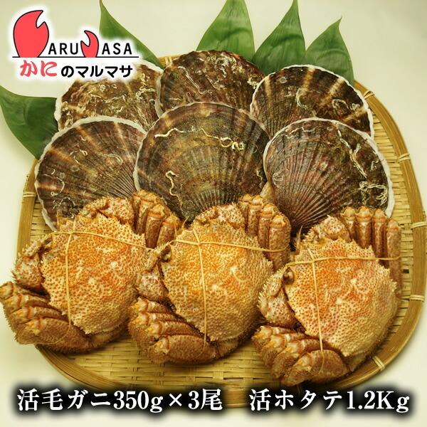 北海道産 活ほたて貝1.2kg詰め合わせ＆毛がに350g×3尾［海鮮セットＦ］ 父の日 ギフト