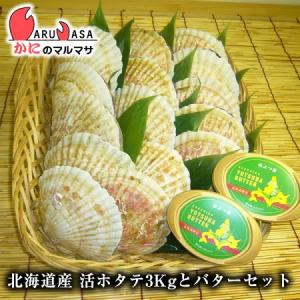 活ホタテ貝 3kg＆よつ葉バター2個セット 北海道産 お刺身用 殻付きほたて 帆立 ほたて ホタテ お土産 通販 贈り物 お取り寄せ ギフト｜かにのマルマサ北海道