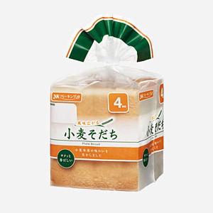 ネスカフェ エクセラ つめかえ用袋 ( 100g )/ ネスカフェ(NESCAFE