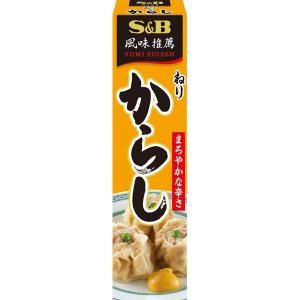 S&B エスビー 風味推薦 ねりからし チューブ 43g