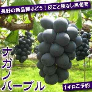 ご家庭用】ナガノパープル 3kg 信州長野県産 産地直送 農家直送 種なし